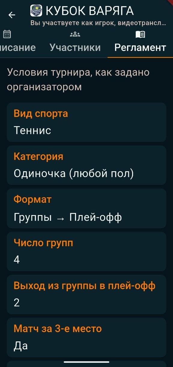 Tourbina Studio: регламент турнира